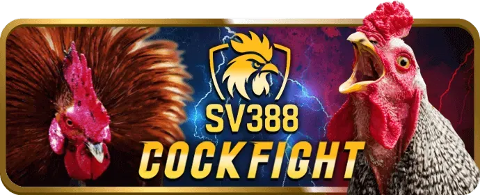 Chương trình VIP 100vip Casino